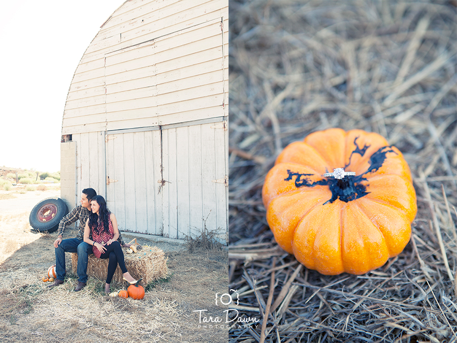 engagement Photographer slc Utah