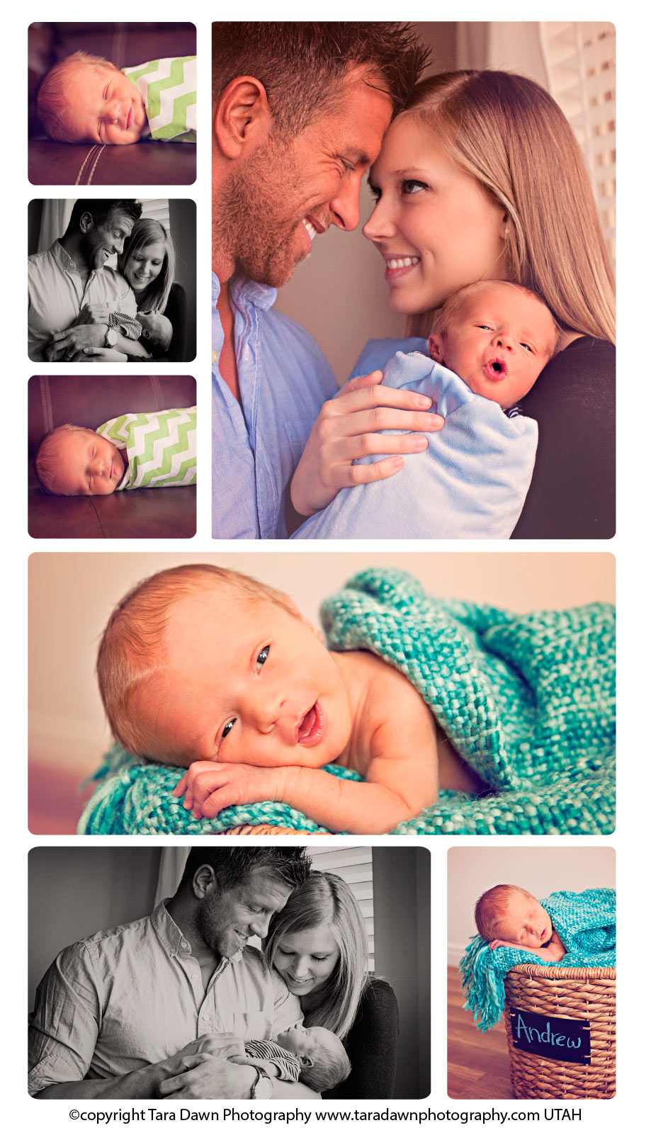 newborn_utah_portraits