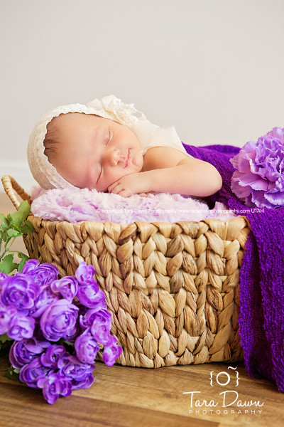 Utah Newborn Photographer